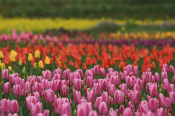 april-02